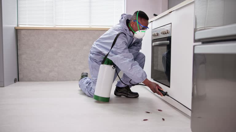 Best Pest Prevention Services  in Carlinvle, IL